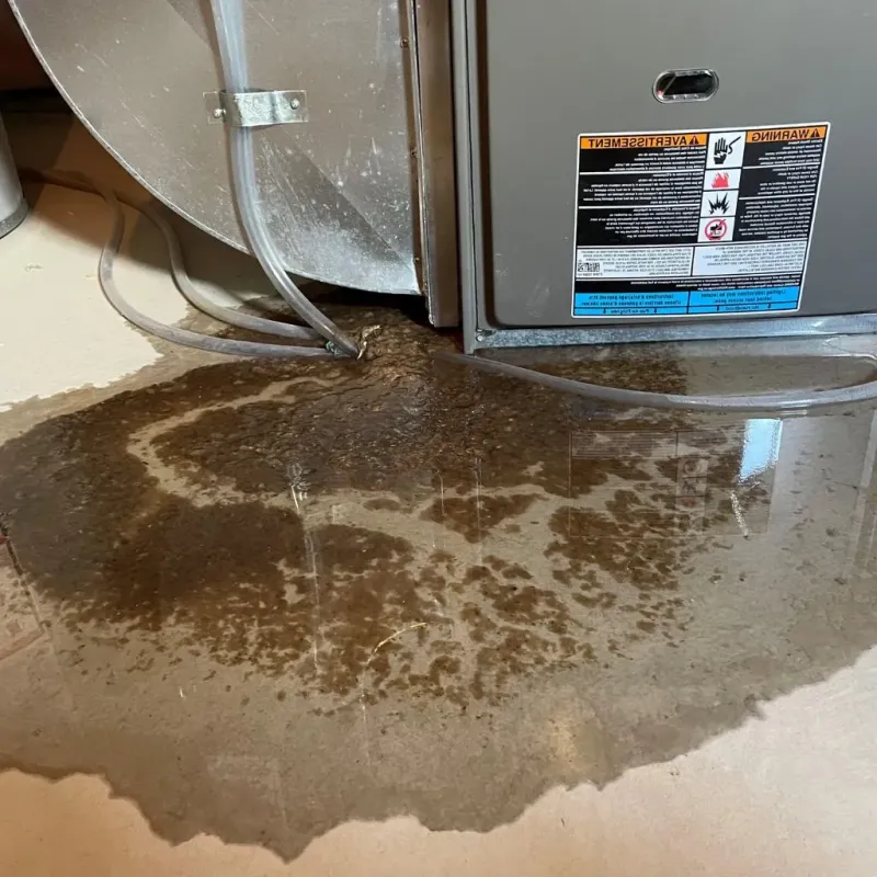 Pipe Burst and Leak Restoration in Loup County, NE