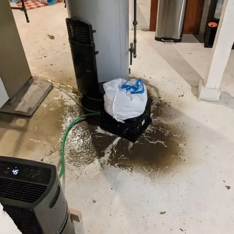 Sewage Backup Cleanup Service in Loup County, NE